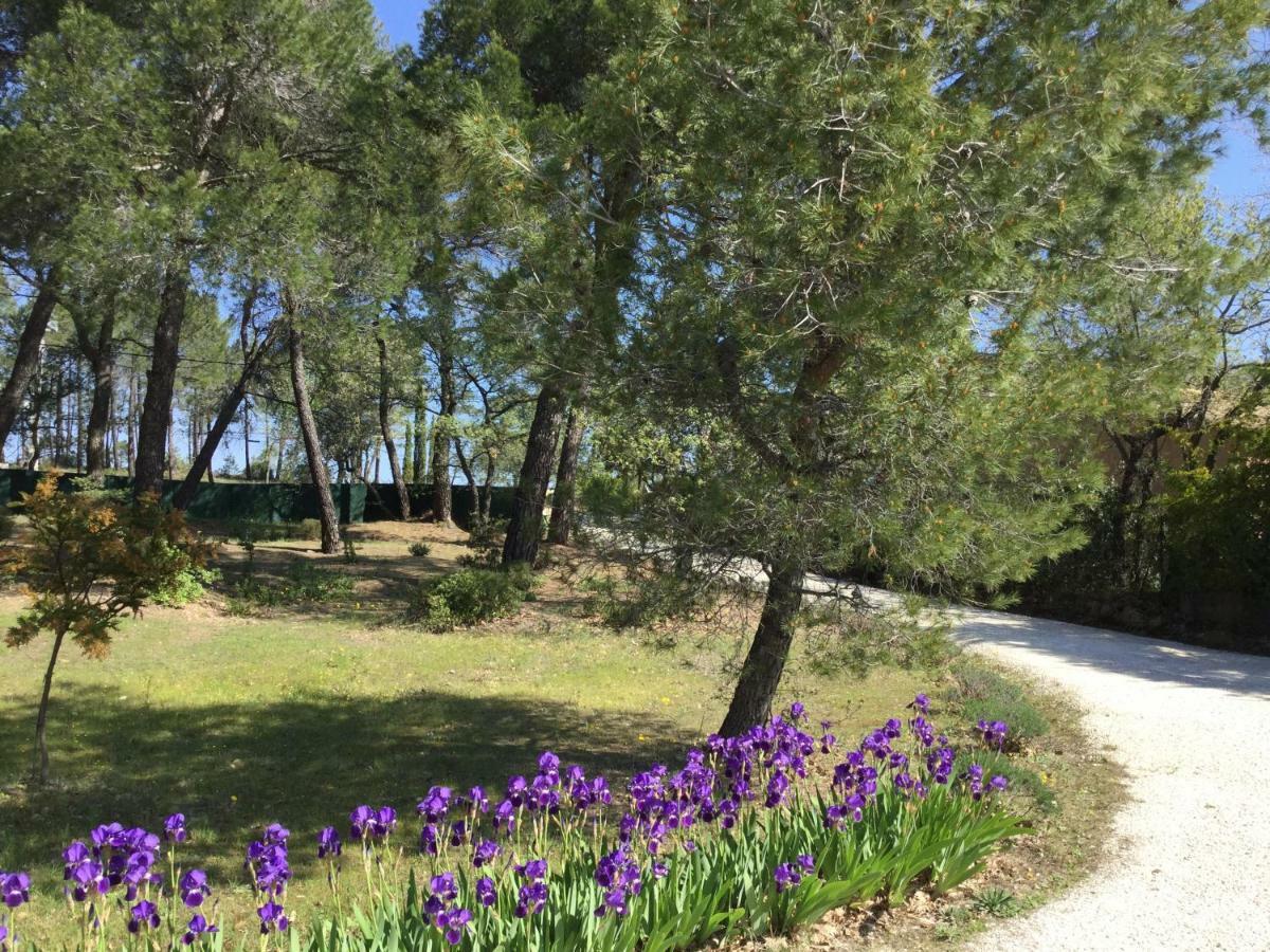 Le Clos Des Cigales Roussillon en Isere Екстериор снимка